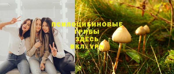 spice Зерноград