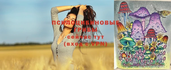 дживик Алапаевск